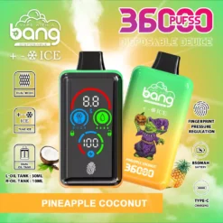 Alternative view of BANG DSK026 36000 Züge Eis Einweg Vape Großhandel EU