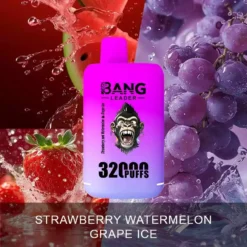 Alternative view of BANG LEADER 32000 Züge Dual Geschmack Einweg Vape Großhandel
