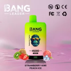 Alternative view of BANG LEADER 45000 Dual Option Doppeltank Einweg Vape Grosshandel