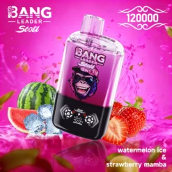 Alternative view of BANG LEADER STOLL 120000 Dual 120K Züge Display Einweg Vape Großhandel