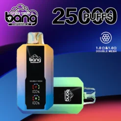 Bang 25000 Puffs Wiederaufladbar Einweg Vape Type C 25ml Großhandel