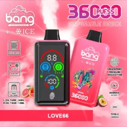 BANG DSK026 36000 Züge Eis Einweg Vape Großhandel EU