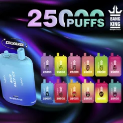 Bang King 25000 Züge Dual Pod Einweg Vape Großhandel Posten