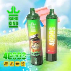 BANG KING 40000 Züge Einweg Vape DSK059 25ml Tank Großhandel