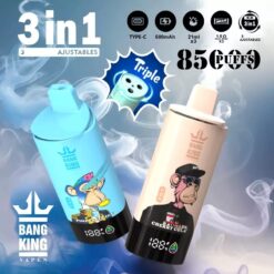 BANG KING 85000 Züge DSK052 3 in 1 Einweg Vape im Großhandel