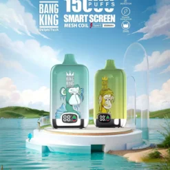 Bang King Smartscreen 15000 Züge 25 ml Einweg Vape wiederaufladbar Großhandel