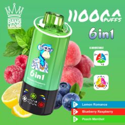 BANG LEADER 110K 6in1 Multikammer wiederaufladbarer Einweg Vape Grosshandel