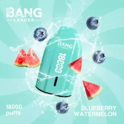 Bang Leader 18K 18000 Züge Einweg Vape Großhandel Type C Mesh Spule
