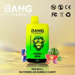 BANG LEADER 45000 Dual Option Doppeltank Einweg Vape Grosshandel