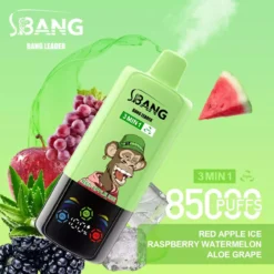 BANG LEADER 85000 Züge 3 in 1 Einweg Vape für den Großhandel