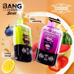 BANG LEADER STOLL 120000 Dual 120K Züge Display Einweg Vape Großhandel