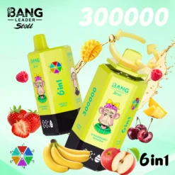 BANG LEADER STOLL 300k Züge 6in1 Einweg Vape Großhandel Ultra
