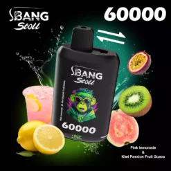 BANG LEADER STOLL 60000 Züge Einweg Vape Dual Geschmack Mesh Coil Großhandel