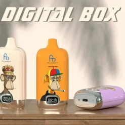 RandM Digital Box 12000 Züge LED Display Einweg Vape Großhandel